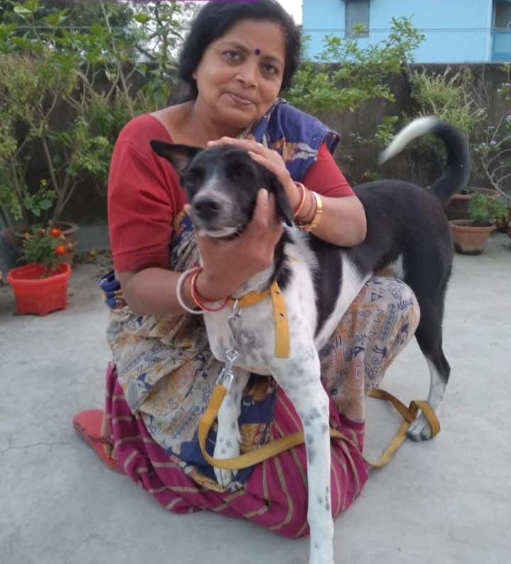 Pet care in Kolkata